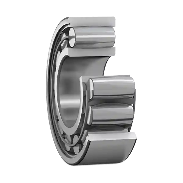 Carb toroidal roller bearings